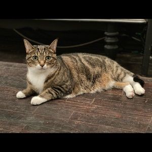 Meet your Posher, Audrey